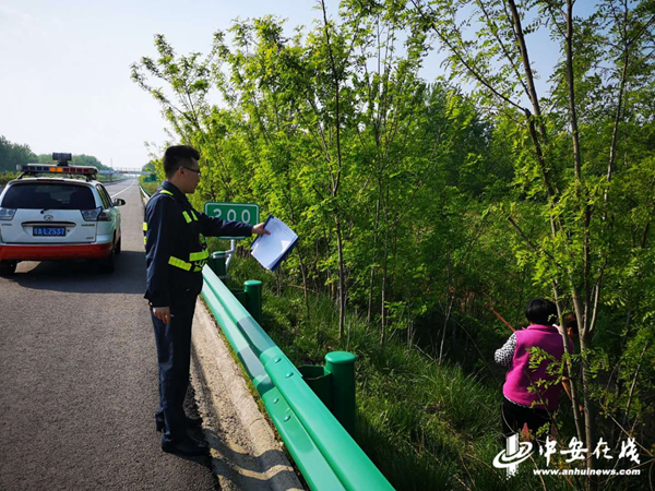 村民冒险采摘高速路边槐花 路政部门提醒切莫贪