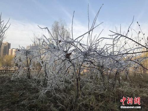 小雪节气习俗知多少？民间流行吃这些美味