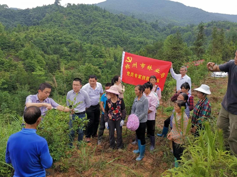 部门动态 赣州市人民政府