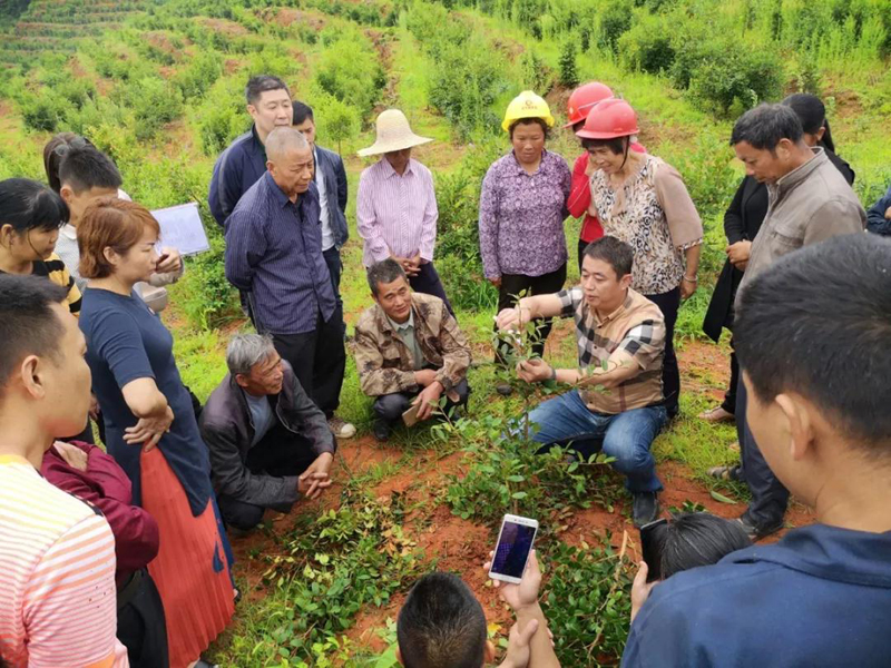 部门动态 赣州市人民政府
