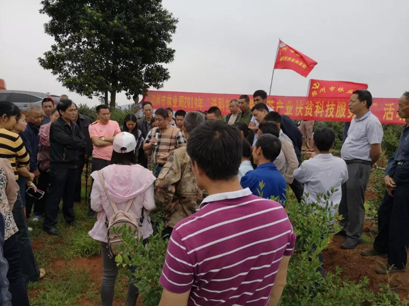 部门动态 赣州市人民政府