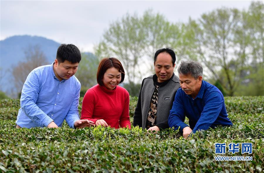 （社会）（3）福建南平：科技特派员在行动