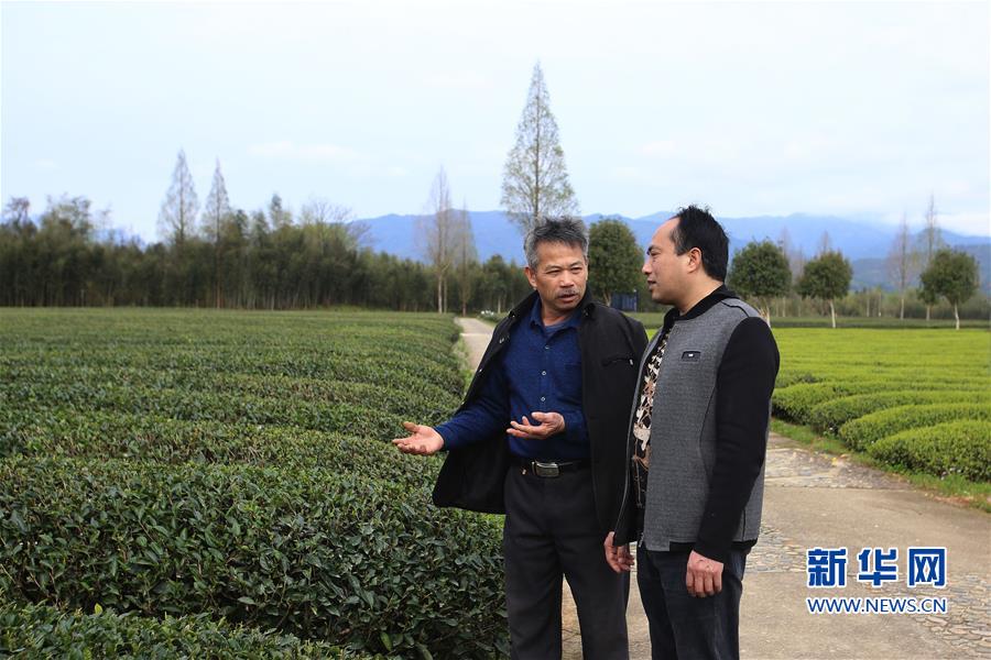 （社会）（4）福建南平：科技特派员在行动
