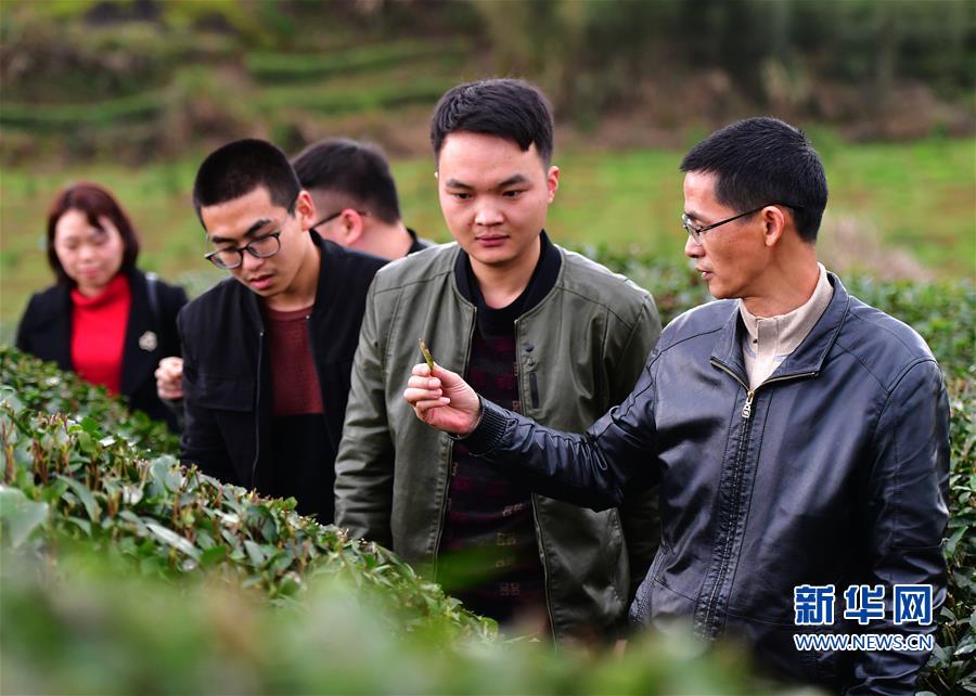 （社会）（5）福建南平：科技特派员在行动