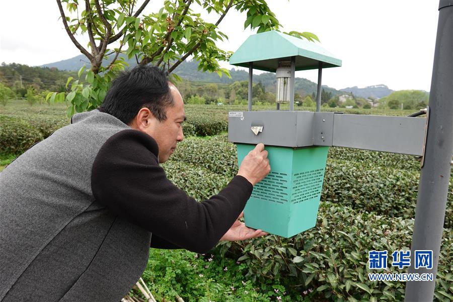 （社会）（2）福建南平：科技特派员在行动