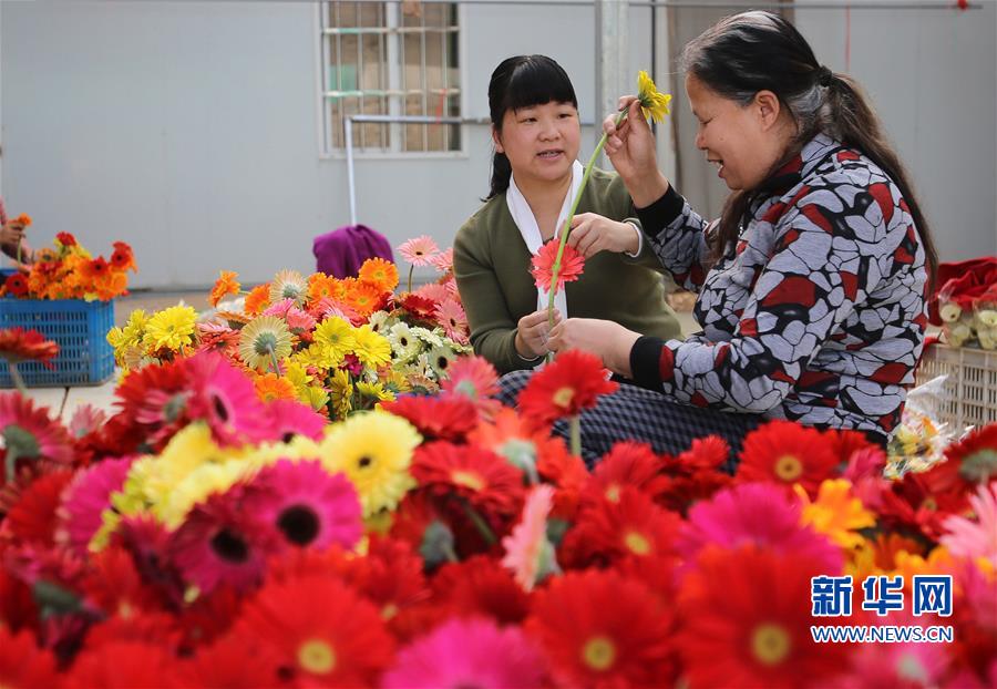 （社会）（8）福建南平：科技特派员在行动