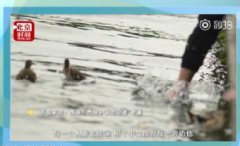 国际人才交流大会在深举行