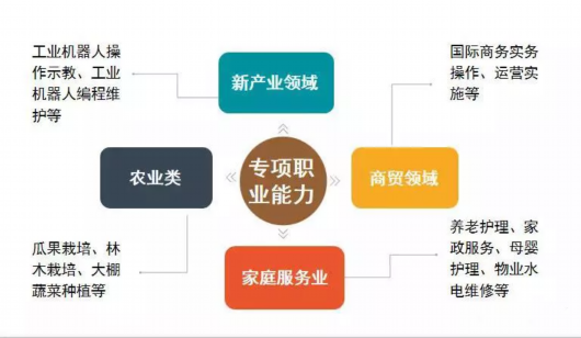 你学技能，我来买单：2019年上海市职业技能培训