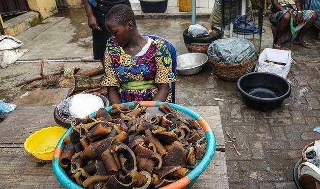 非洲人最爱的美食,3只7年繁育17000后代,中国吃