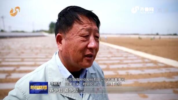 【齐鲁杰出人才提名奖】李登海：47年奋战在攻关一线，两次刷新世界高产纪录