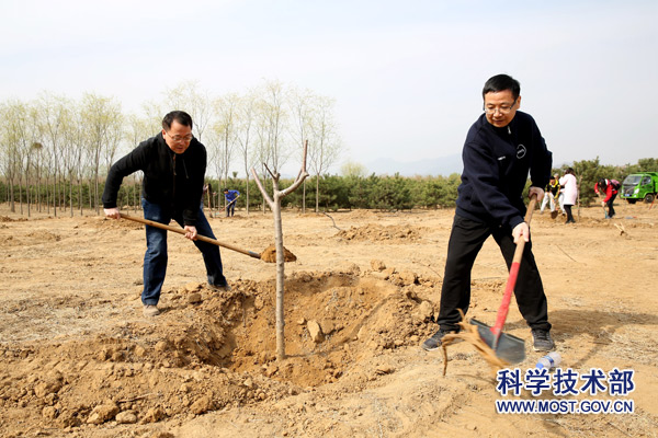 大地回春添新绿 义务植树正当时－－中国国际人