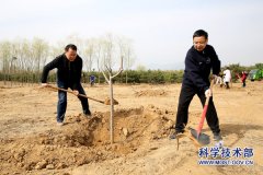 大地回春添新绿 义务植树正当时－－中国国际人