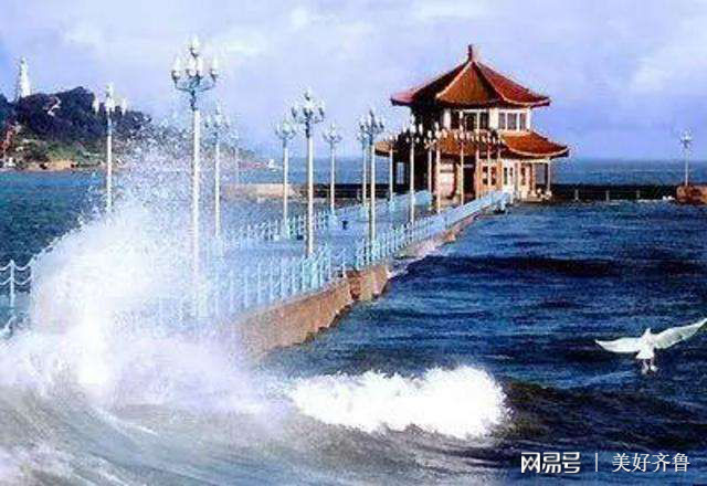 青岛一处免费开放的4A级景区,美得让人沉醉