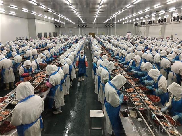 网购小龙虾靠谱吗?原材料品质如何?我去生产