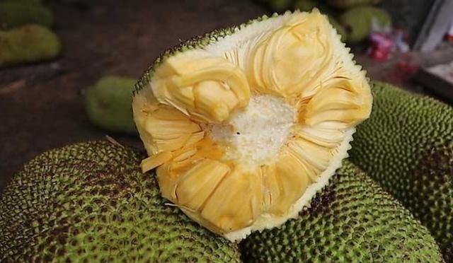 每天吃两口这种水果 越来越漂亮