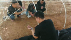 <b>美如灵芝香留齿 龙门灵芝菇甲天下</b>