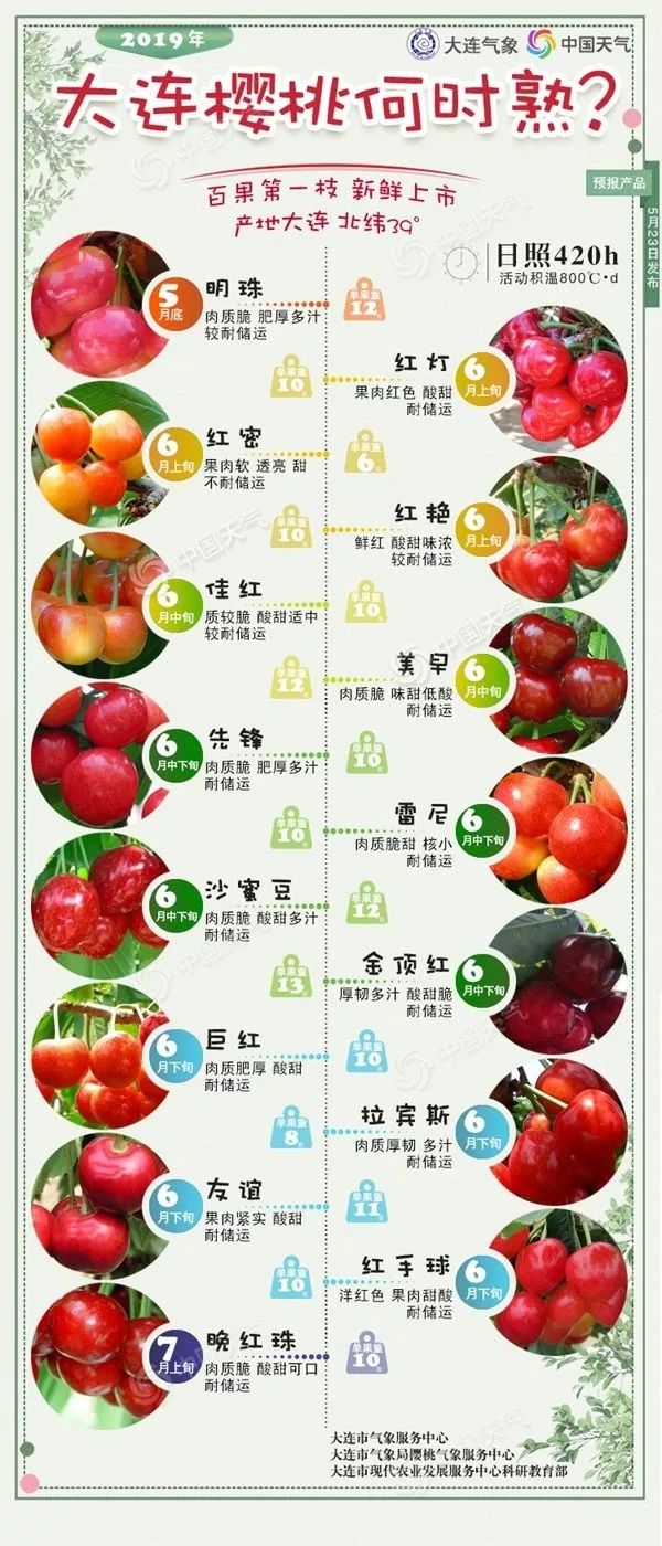 【美味】今年大连樱桃什么时候熟？官方预报来