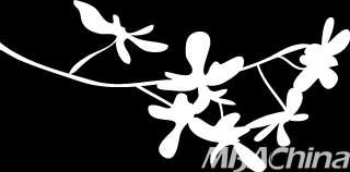 我们见过奇迹，我们要创造奇迹