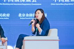 陈志新：中国和欧美之间金融机构在科技创新上