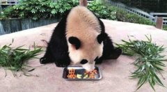 滚滚过“中秋”专属“月饼”同样美味