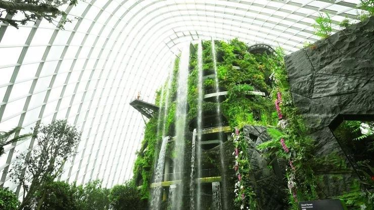 关于新加坡，你所不知道的十件趣事