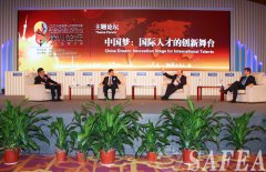  第11届中国国际人才交流大会 深圳论坛精彩纷呈(组图)