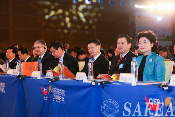  第11届中国国际人才交流大会 深圳论坛精彩纷呈(组图)