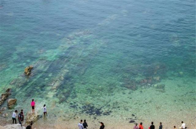 游玩去养马岛,捡拾贝壳放松心情,还可以品尝