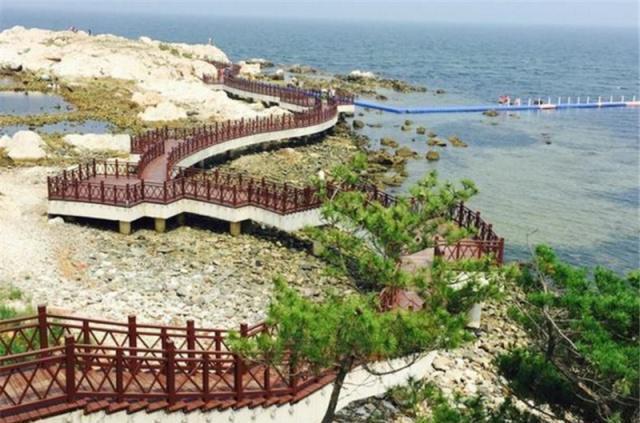 游玩去养马岛,捡拾贝壳放松心情,还可以品尝