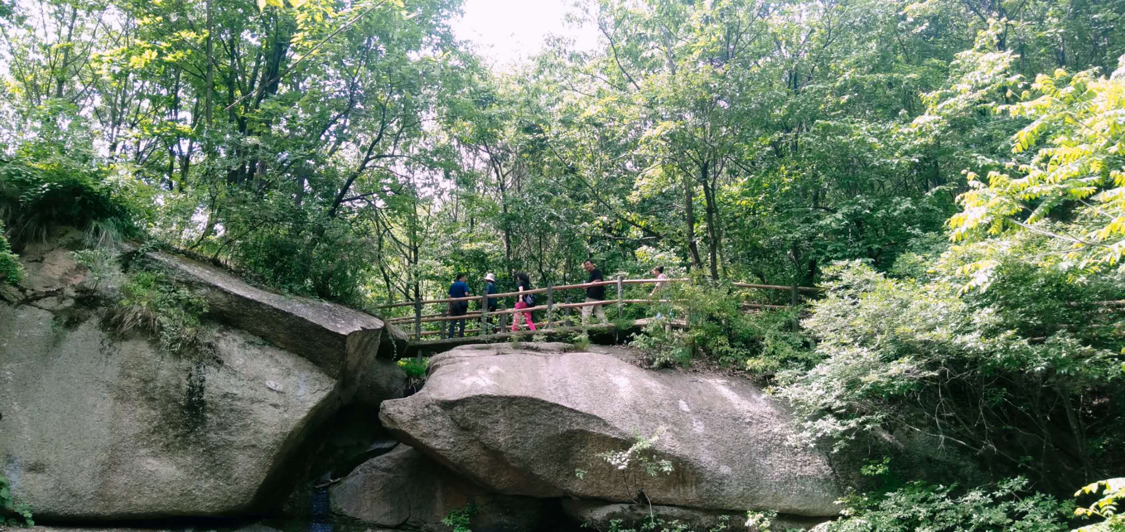 旅游遇见另一种人生，这才是退休后杨阿姨的心声！