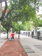 环卫工冒雨扫街5岁女儿跳舞陪着 网友:太有爱(图