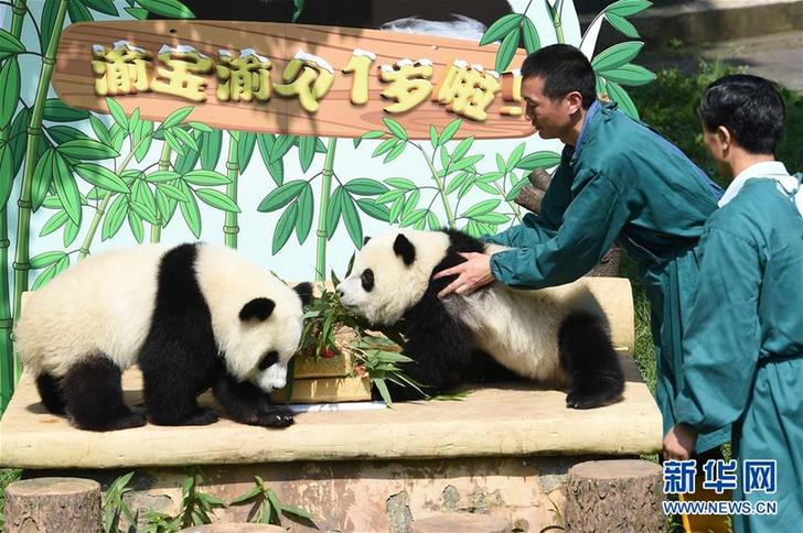 一周奇闻趣事（7月7日