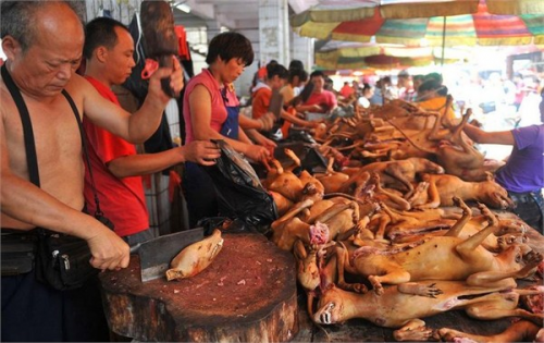 广西玉林不仅有“狗肉之乡”的传统 更有“强食