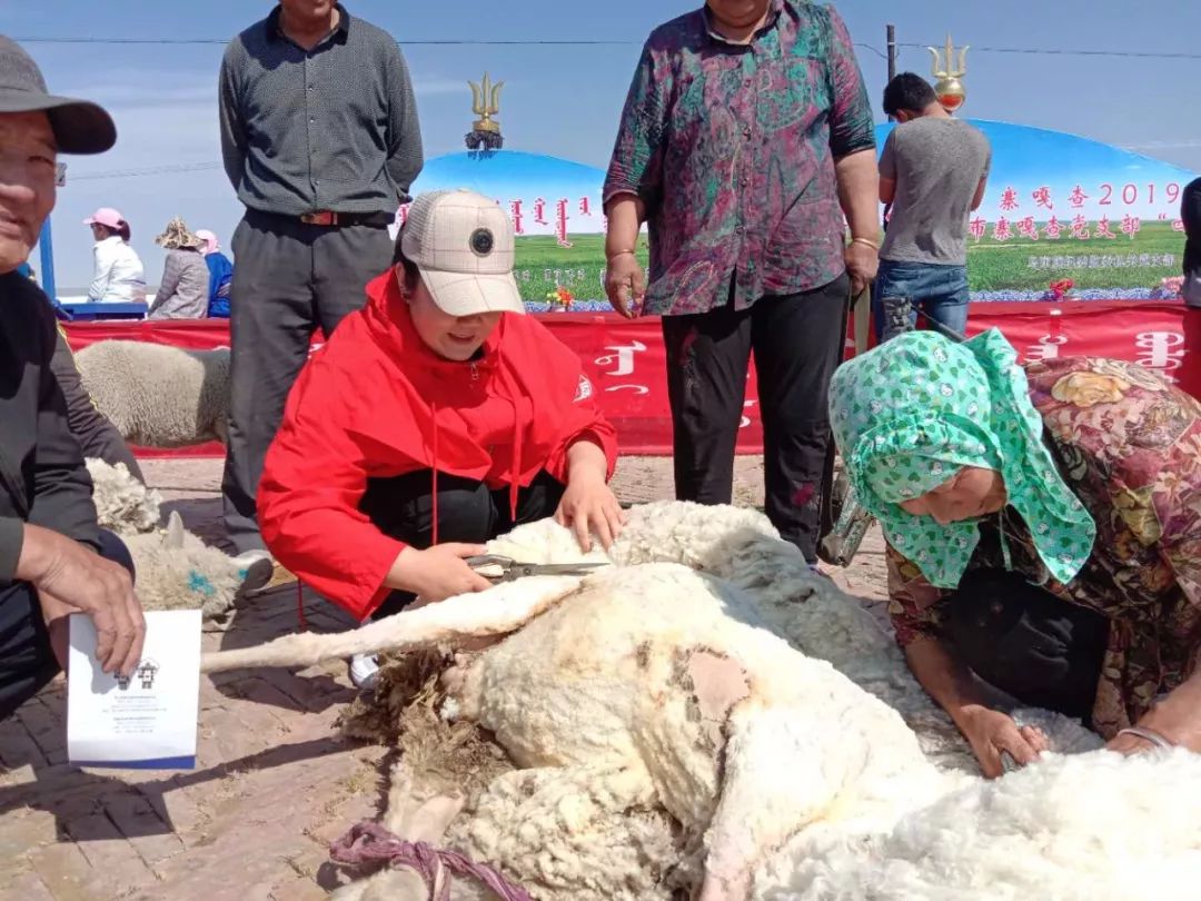 看·乌审丨乌审旗举办第七届青少年科技创新大赛