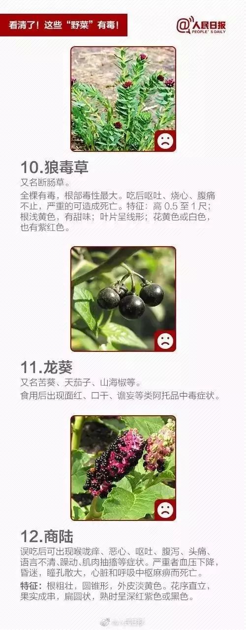 野菜虽美味，生命安全第一位！