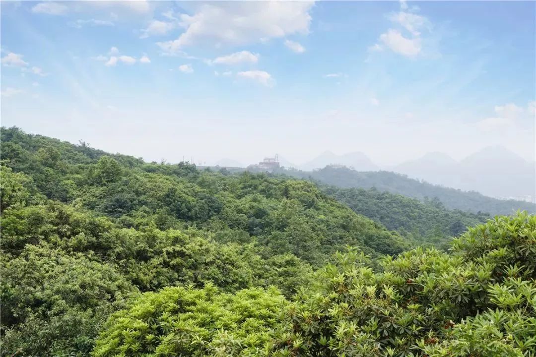 贵州这个清凉秘境，是6月避暑的绝佳胜地！就在