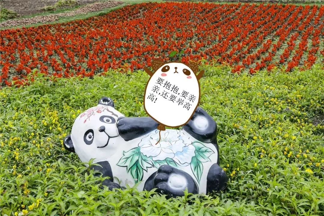 贵州这个清凉秘境，是6月避暑的绝佳胜地！就在