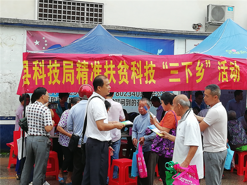 贵港市人民政府门户网站