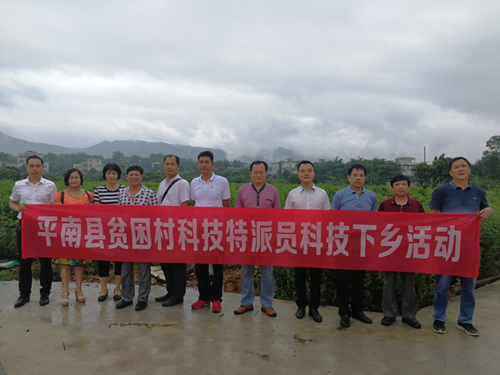 贵港市人民政府门户网站