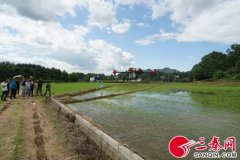 “一小时”到“一分钟” 杨凌“飞机”为科技兴