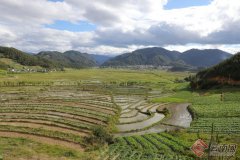 【大滇西旅游之藏区先行】世界高海拔产稻区一
