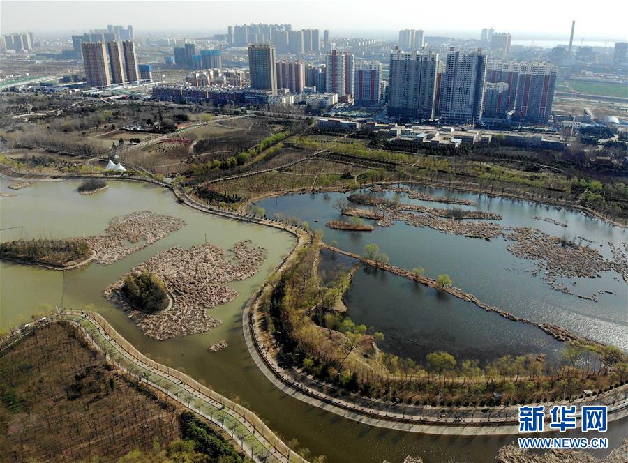 （走基层 听民声）（1）一座城市的绿色“转身”