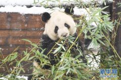 1月5日－1月11日国内一周趣事