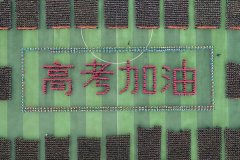 请相信，你就是那个奇迹
