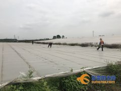 东莞这种美味的贵价鱼结束“冬眠”，要被掀“被子”啦！
