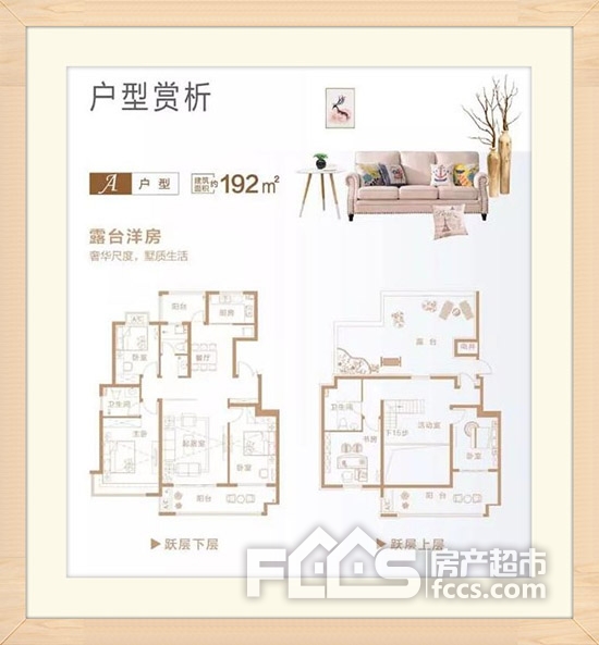 掌舵东岸户型图