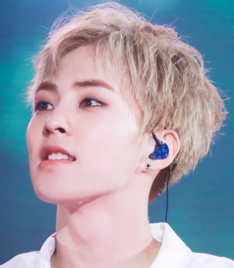 EXO金家兄弟机场趣事,保安制止爱丽打架,金钟