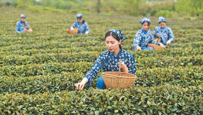 大美乡村，养眼更能养心（消费视窗·透视旅游新需求④）