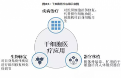 华夏源关于2019年中国干细胞行业前景分析