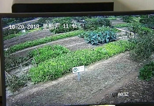 【新时代 新作为 新篇章】金山银山一担挑，看新